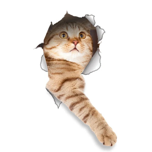 Vinyl Cat 3D Wall Sticker Bathroom Living Room Decor Decal