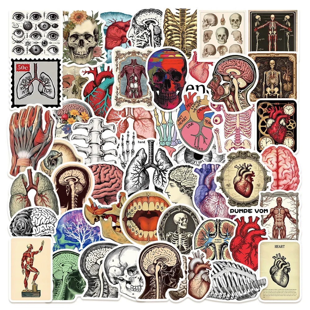 50pcs Retro Organ Dissection Stickers for Helmet, Wall, Desktop Decoration
