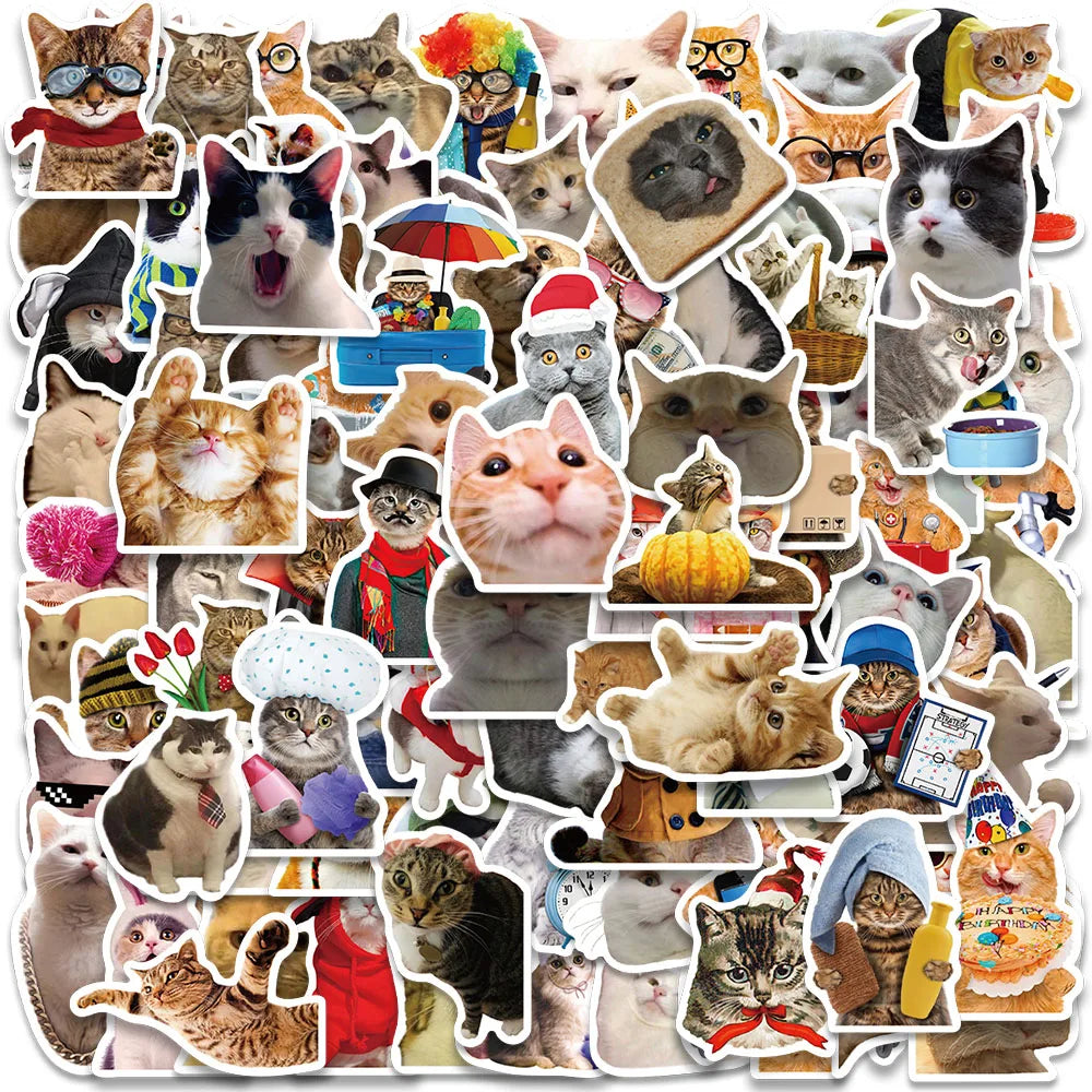 50/100pcs Funny Animals Cats Meme Stickers For Laptop Phone Guitar Luggage Bicycle Car Waterproof Graffiti Vinyl Decals