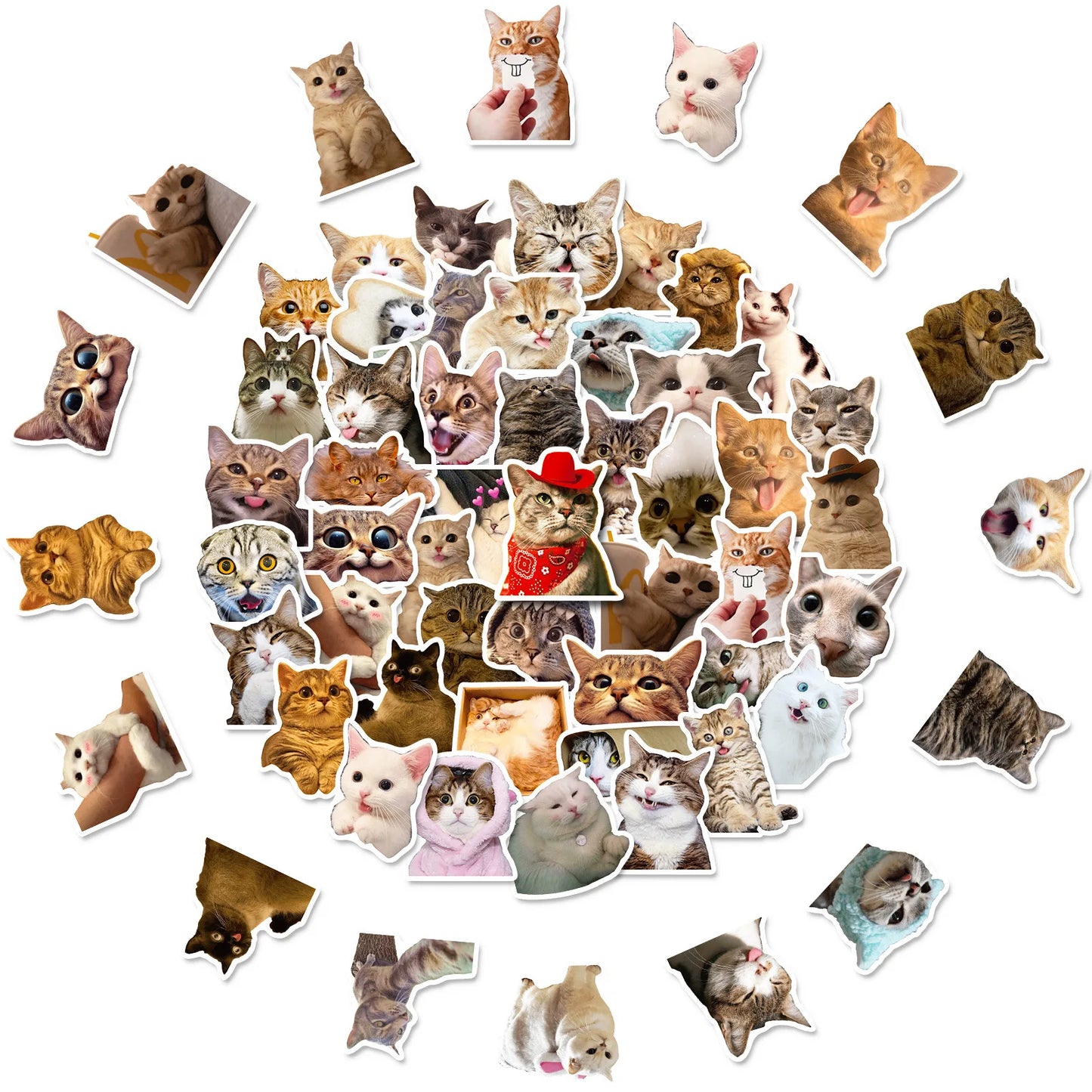 50pcs/Bag,Fun Cat Stickers,PETWaterproof, Be Suitable for Suitcase Skateboard DIY Luggage Laptop Phone Creative Stationery Toys