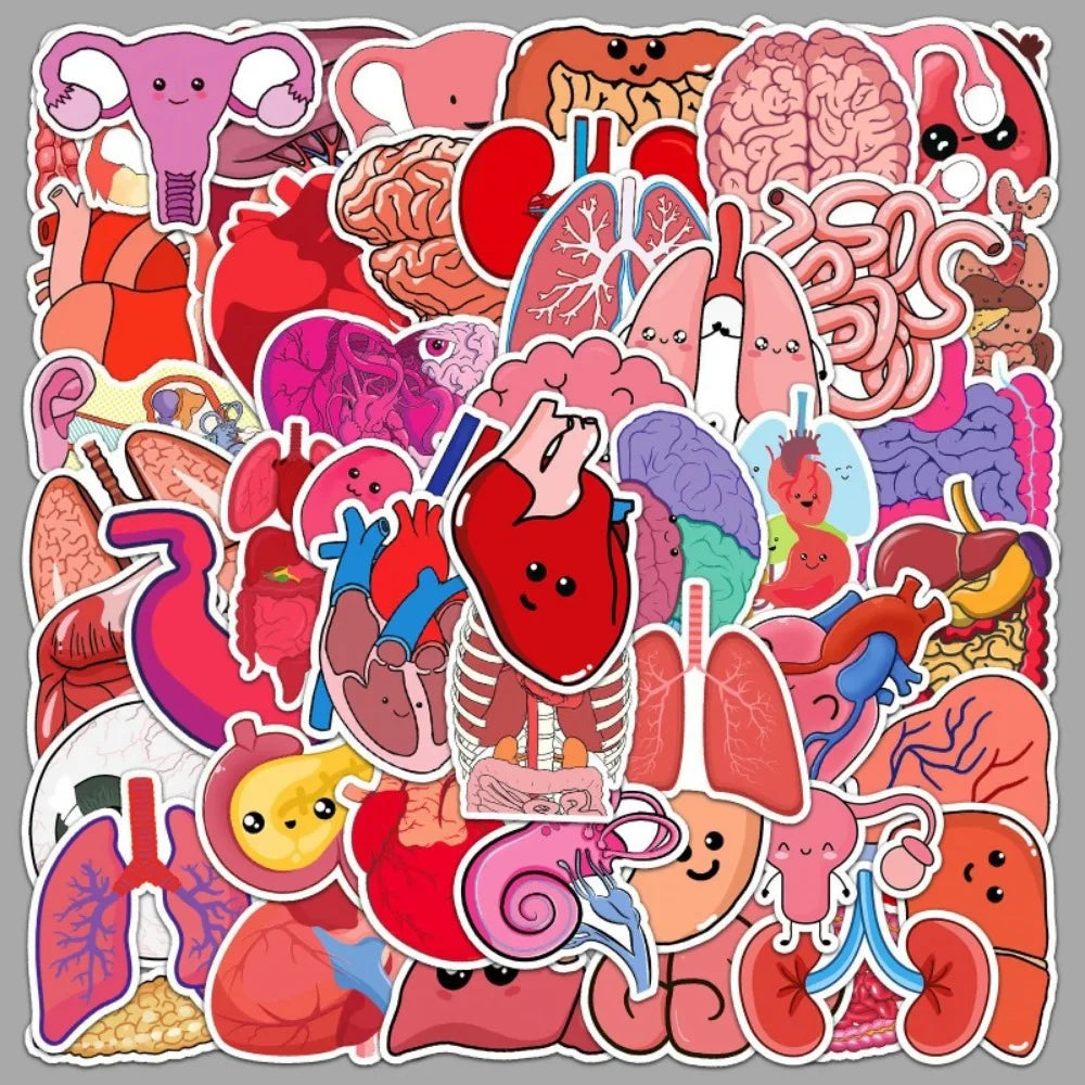 10/50Pcs Cartoon Human Organs Graffiti Stickers Decoration Phone Case Suitcase Luggage Case Sticker Waterproof for Kids Toys