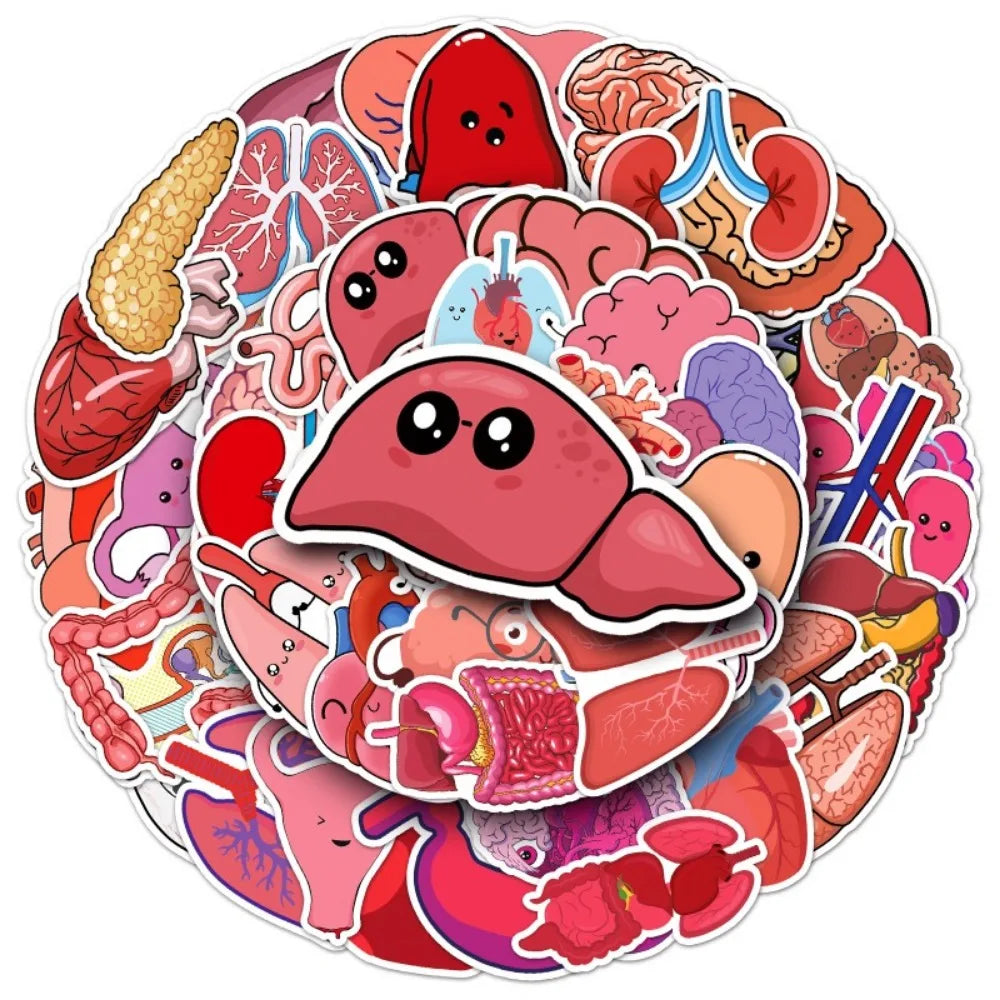 10/50Pcs Cartoon Human Organs Graffiti Stickers Decoration Phone Case Suitcase Luggage Case Sticker Waterproof for Kids Toys