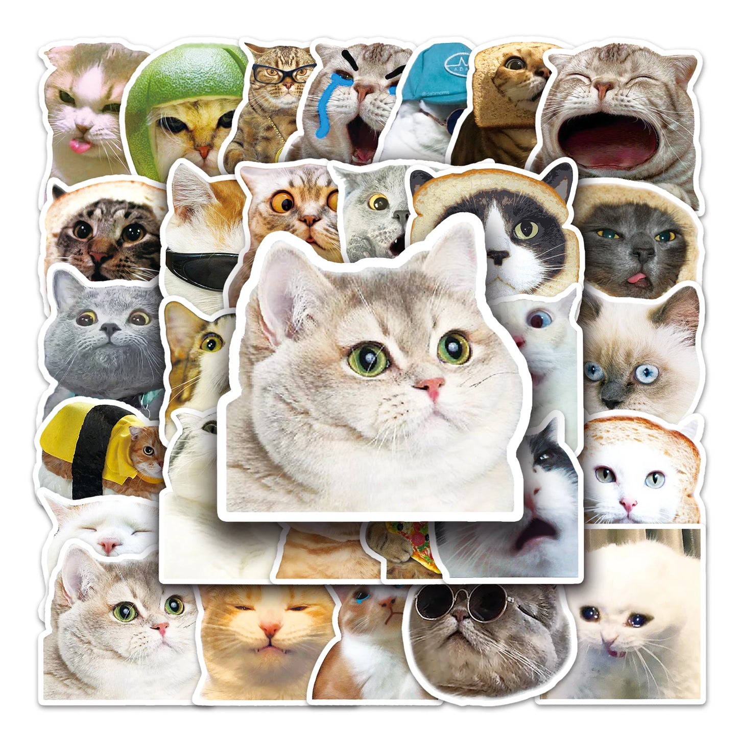 50Pcs Cat Emoji Waterproof Vinyl Stickers for Skateboard Snowboard