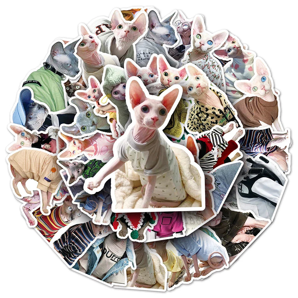 Sphynx Cat Stickers Pack - Cute, Funny, Kawaii Decals for Luggage, Skateboard, DIY, Graffiti