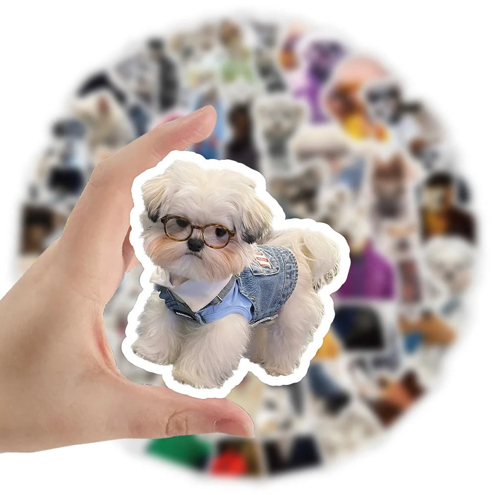 10/30/60pcs Cute Funny Animal Dog Meme Stickers Graffiti Decals Laptop Luggage Phone Car Suitcase Waterproof Sticker Kids Toys