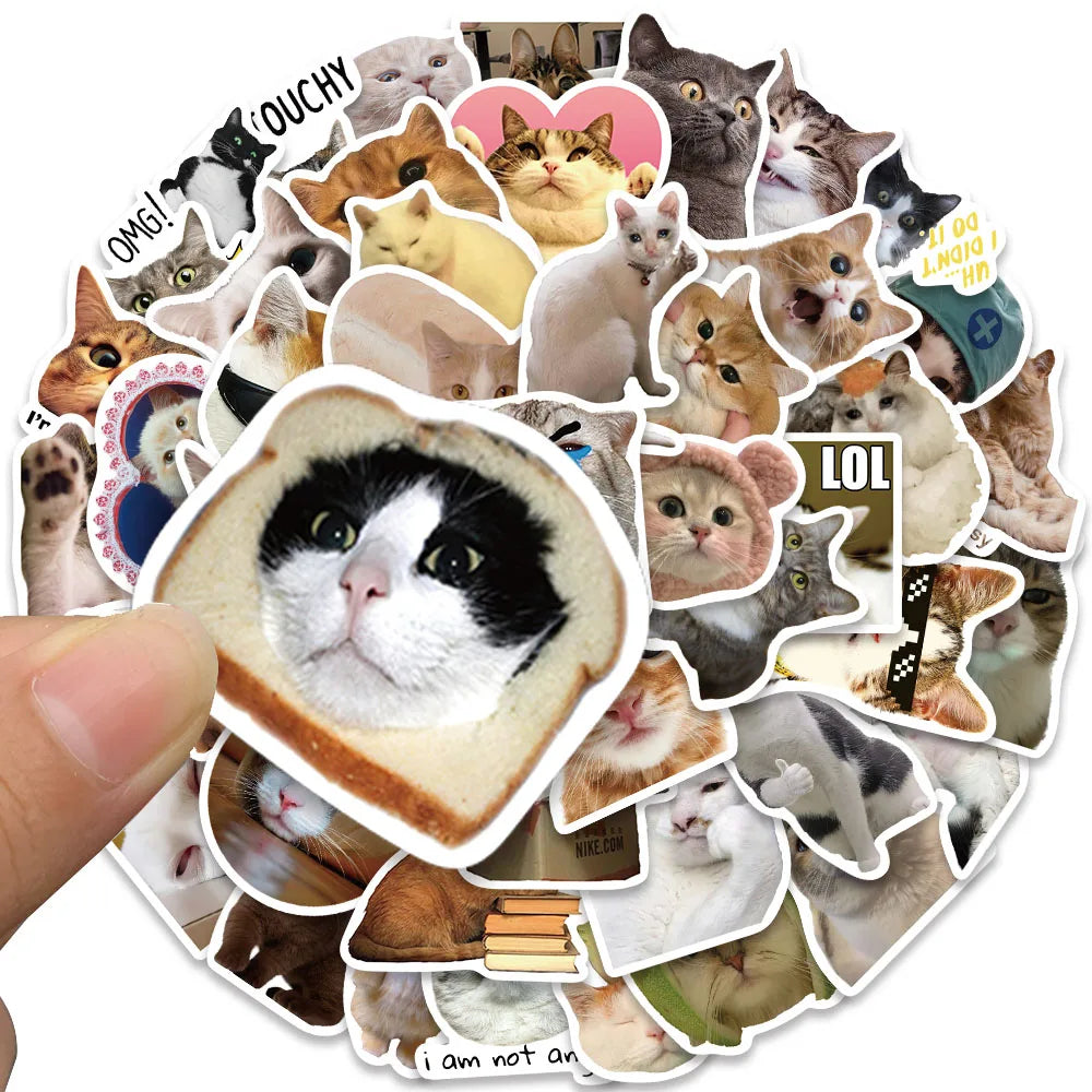 50/100pcs Funny Cat Meme Stickers Water Bottle Kitten Stickers Laptop Luggage Notebook Skateboard Waterproof Vinyl Car Decals