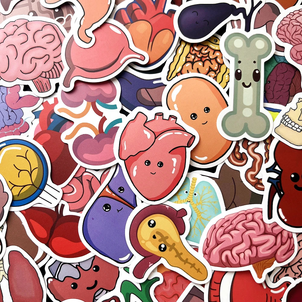 10/50PCS Cute Anatomy Stickers Waterproof for Laptop, Bicycle, Guitar, Phone, DIY