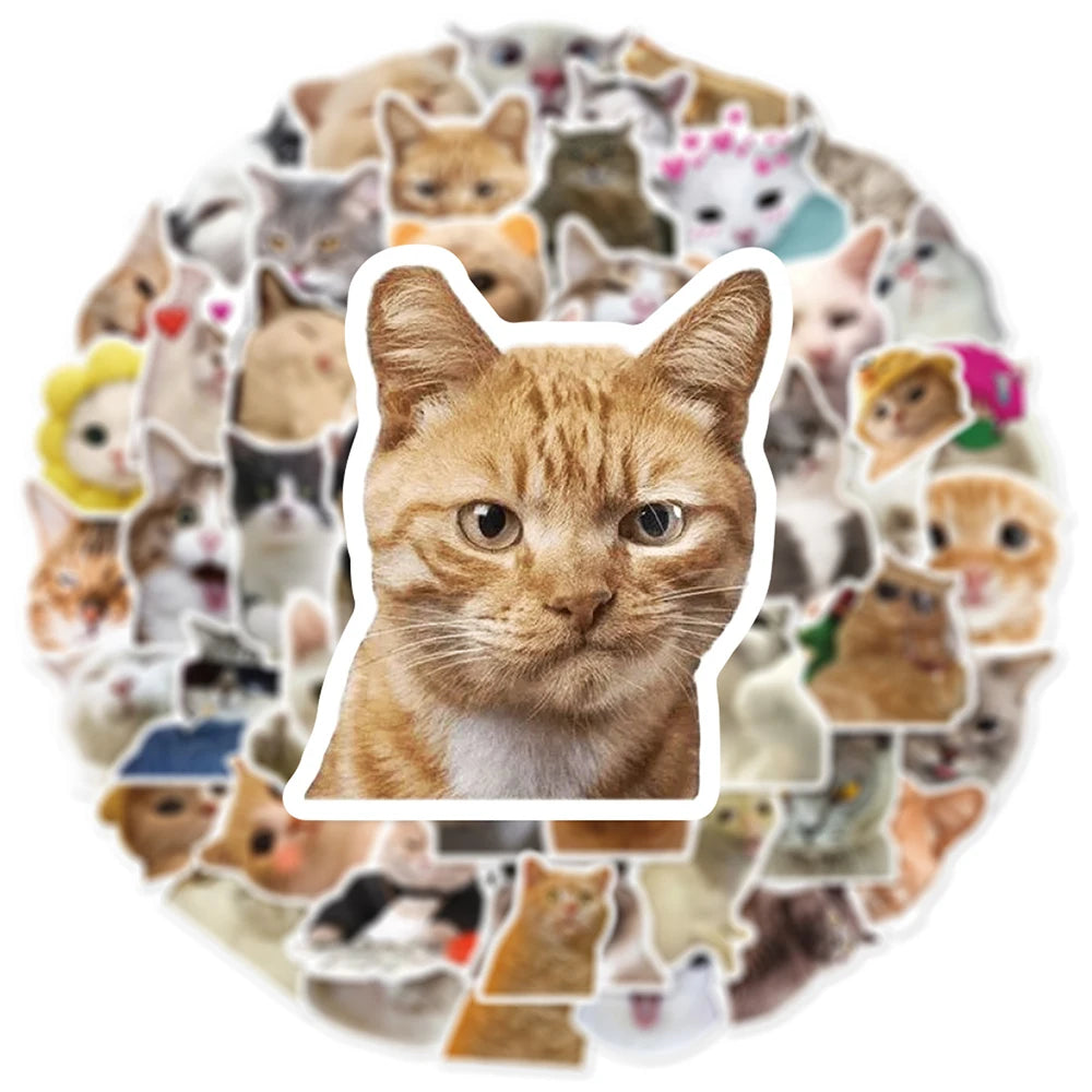10/30/50pcs Cute Funny Meme Animal Cat Kitty Stickers Decals Kids Toy Laptop Suitcase Notebook Motorcycle Car Decoration Sticker