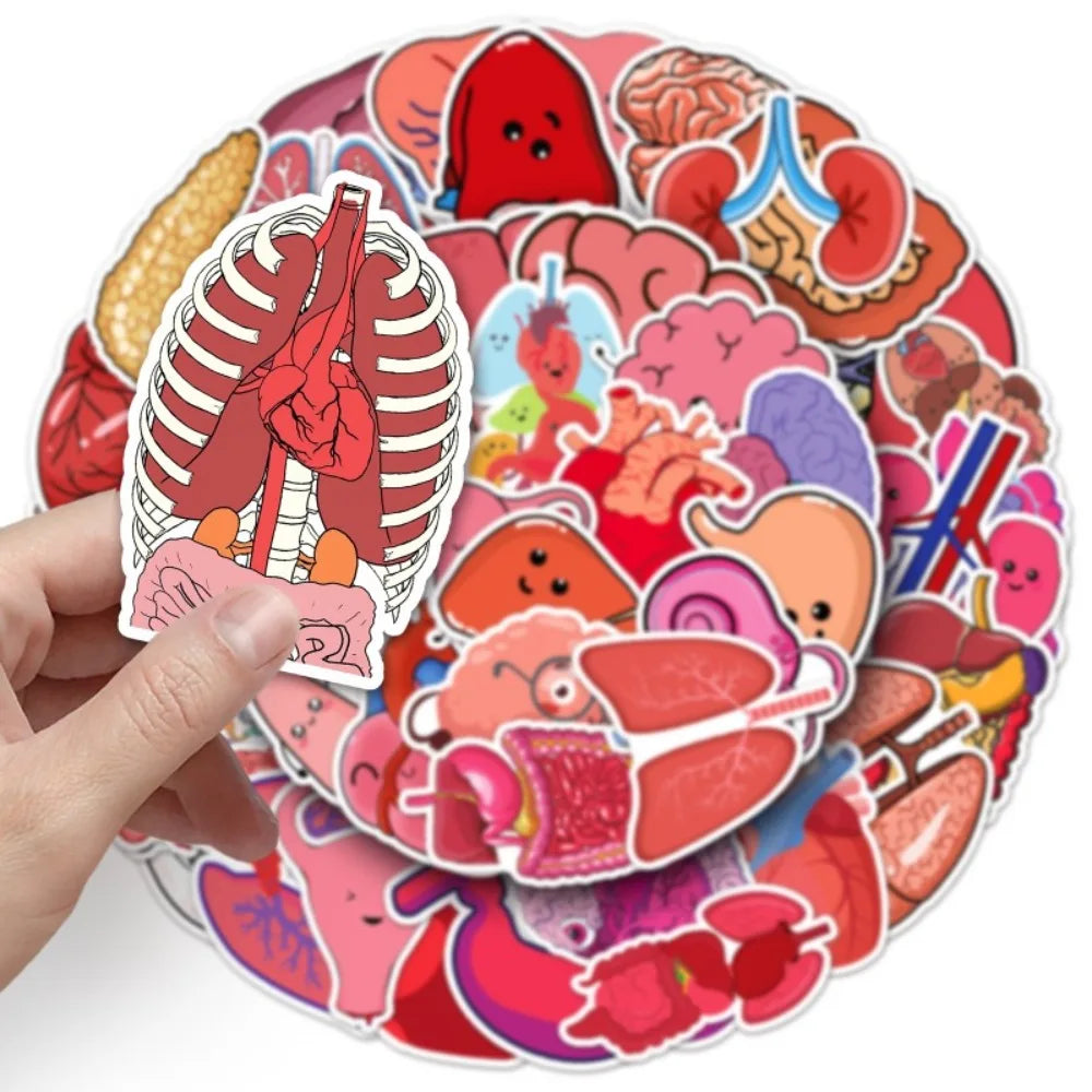10/50Pcs Cartoon Human Organs Graffiti Stickers Decoration Phone Case Suitcase Luggage Case Sticker Waterproof for Kids Toys