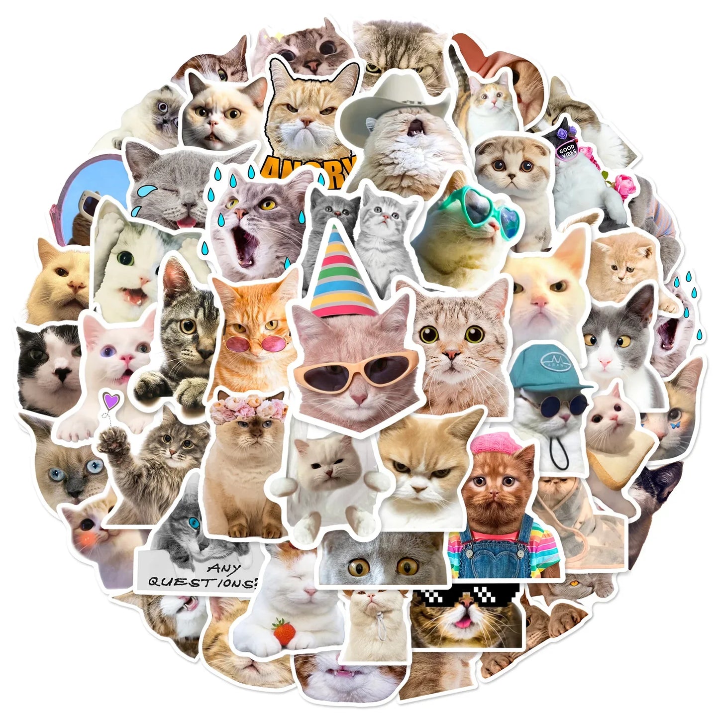 Funny Cat Meme Stickers for DIY Decor, Suitcase, Water Bottle, Phone, Laptop, Skateboard, Scrapbooking (10/25/50pcs)