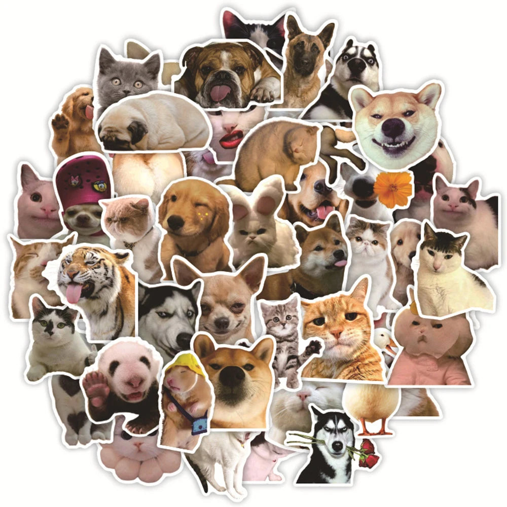 Funny Animal Cat Meme Stickers Pack - Waterproof Decals for Laptop, Luggage, Phone, Kids Toys