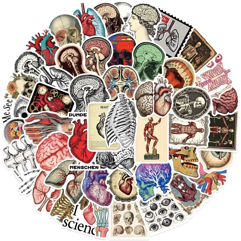10/50pcs Vintage Human Organ Medical Anatomy Stickers Body Structure Decals DIY Laptop Diary Bottle Graffiti Waterproof Sticker