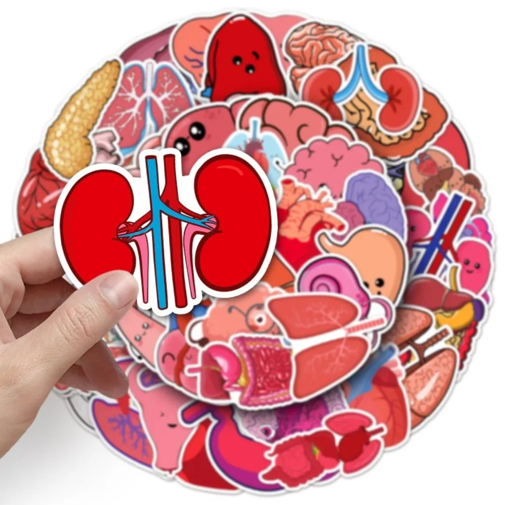 10/50Pcs Cartoon Human Organs Graffiti Stickers Decoration Phone Case Suitcase Luggage Case Sticker Waterproof for Kids Toys