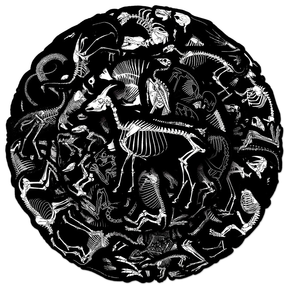 10/30/50PCS Animal Skeleton Black Stickers Cool Graffiti Toys PVC Waterproof Decoration For Phone Bike Skateboard Laptop Decals