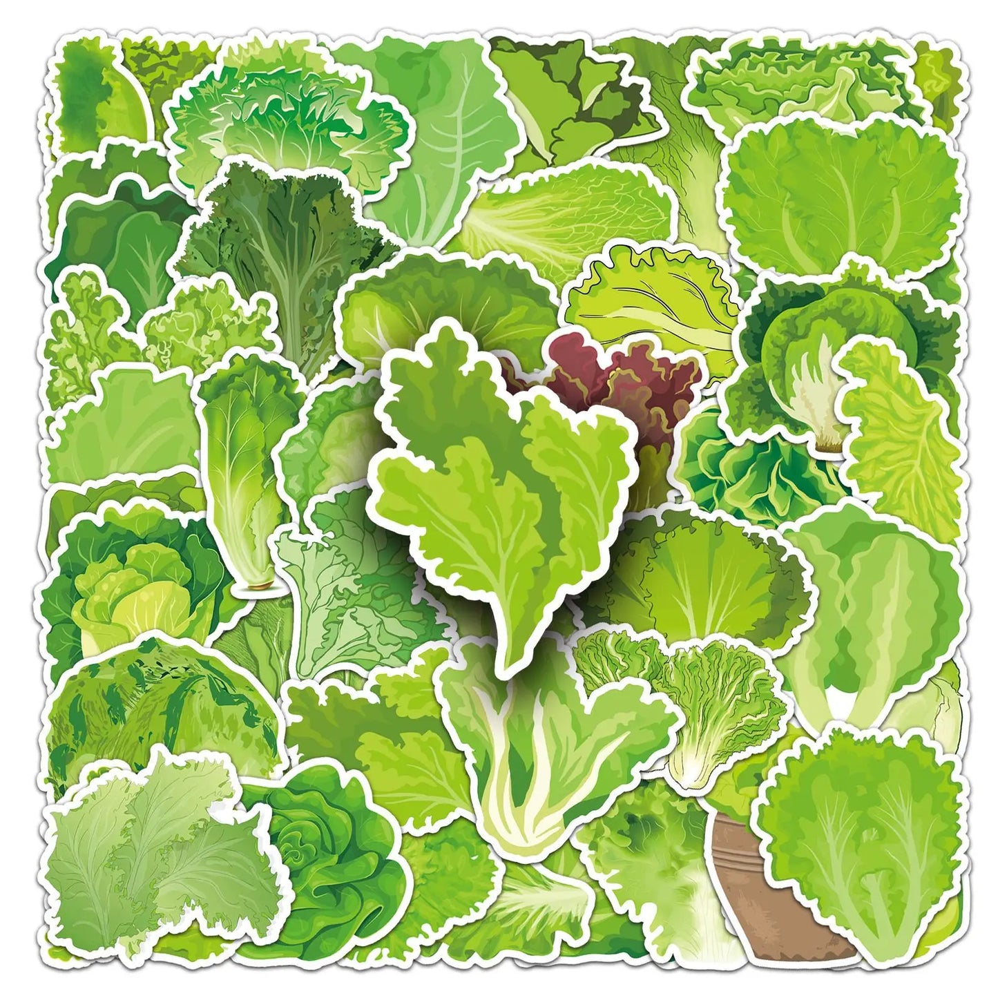 Green Vegetable Stickers Lettuce Cartoon Decals for Luggage Laptop Phone Guitar Bike Skateboard