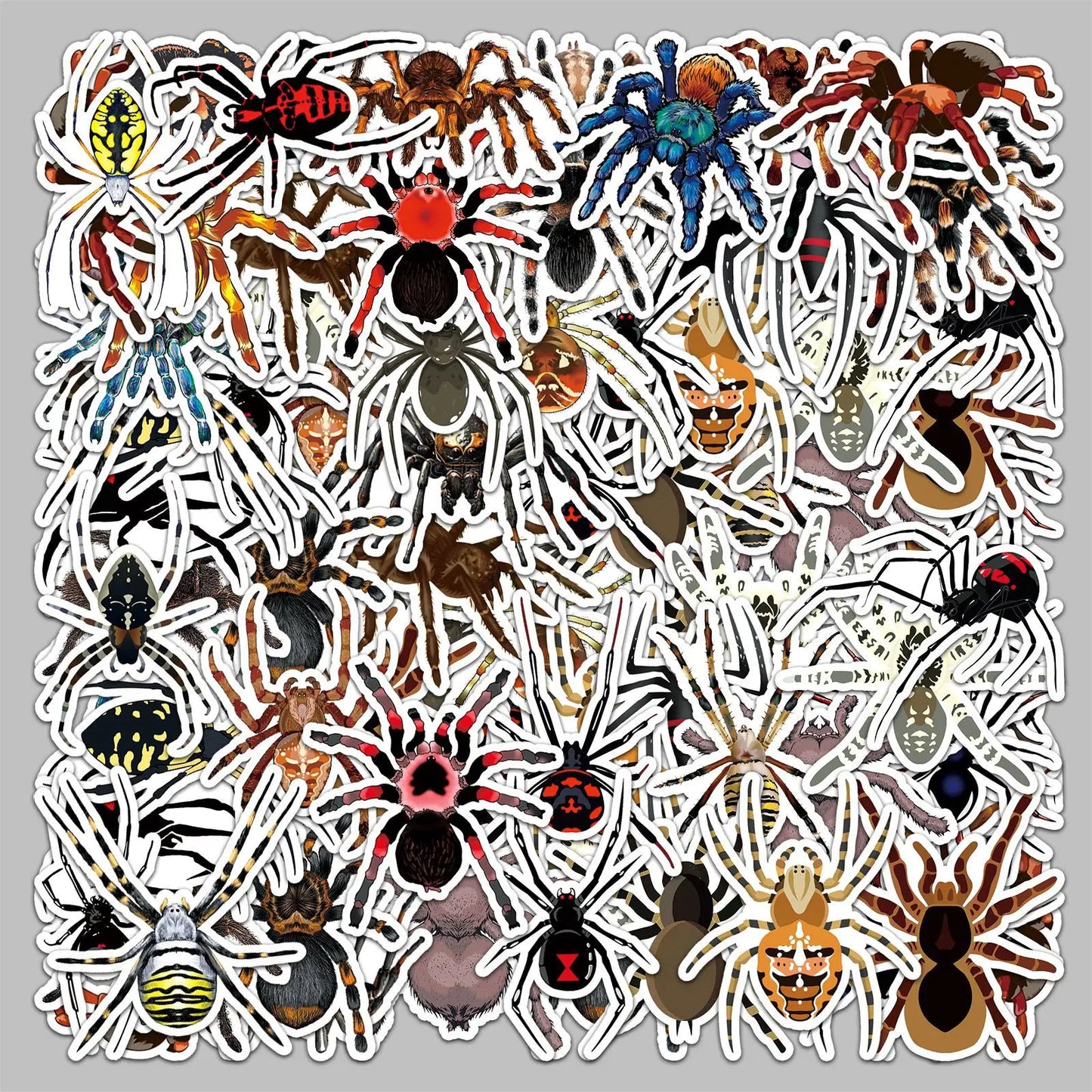 50pcs Cartoon Spider Food Stickers for Helmet, Wall, DIY Decoration