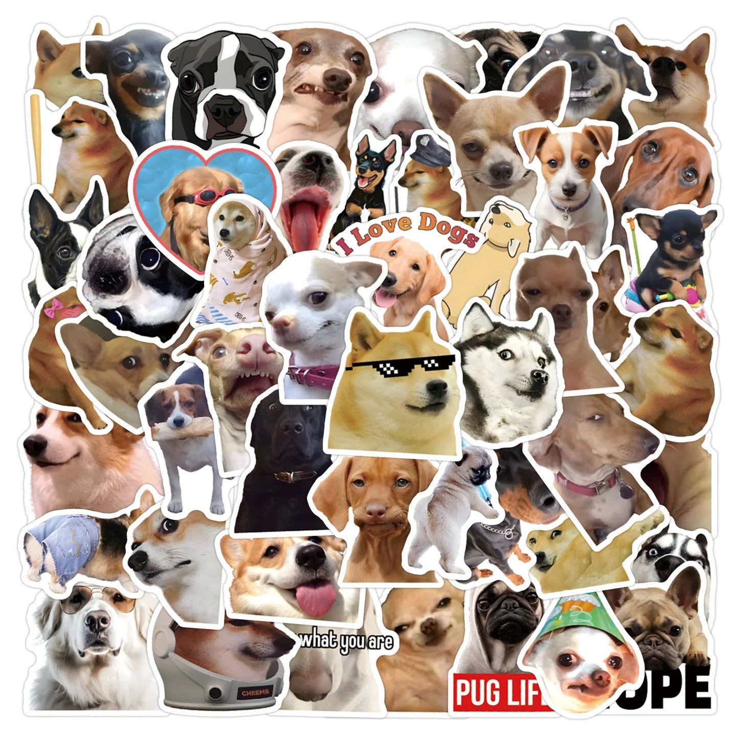 52 Dog Meme Stickers: Waterproof Vinyl Decals Set