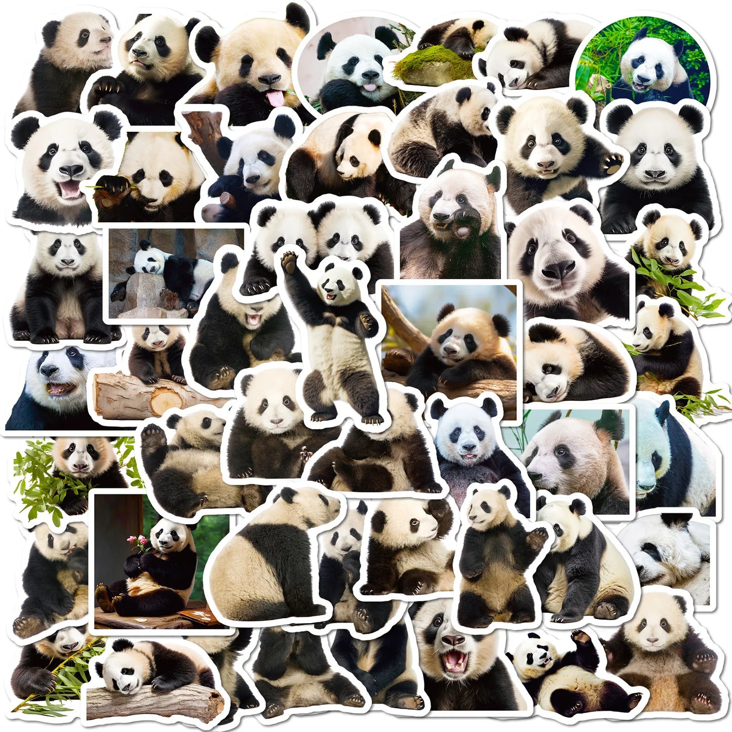 50Pcs Cute Panda Graffiti Stickers for Helmet, Wall, DIY Decoration
