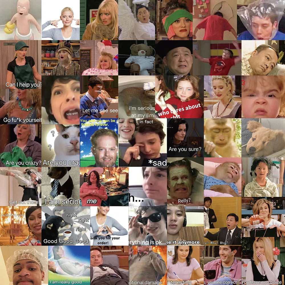 Funny Meme Stickers Waterproof DIY Skateboard Phone Laptop Bike Fridge Decals