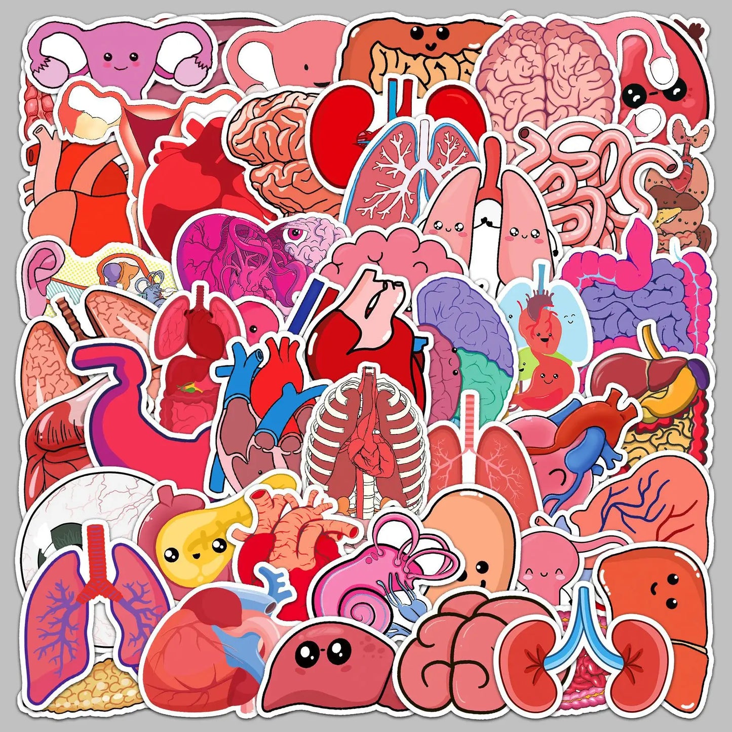 50pcs Cartoon Human Organs Stickers for Helmet, Wall, Desktop Decoration