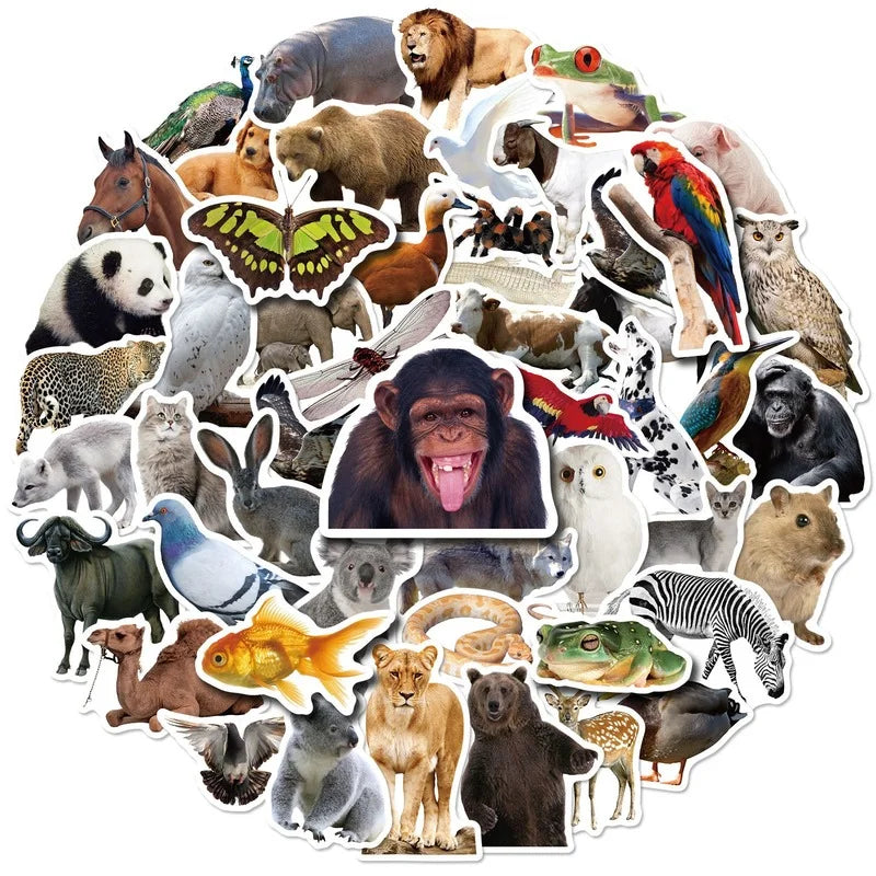 Zoo Jungle Animal Stickers for Wall Decor, Classroom, Luggage, Helmet