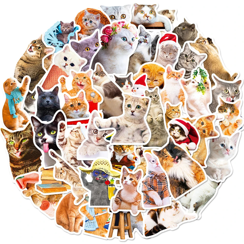 Kawaii Cat Meme Stickers 10/30/50pcs Aesthetic Decals for Laptop, Phone, Guitar, Fridge, Suitcase