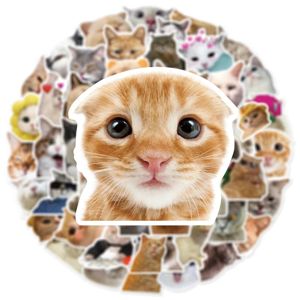 10/30/50pcs Cute Funny Meme Animal Cat Kitty Stickers Decals Kids Toy Laptop Suitcase Notebook Motorcycle Car Decoration Sticker
