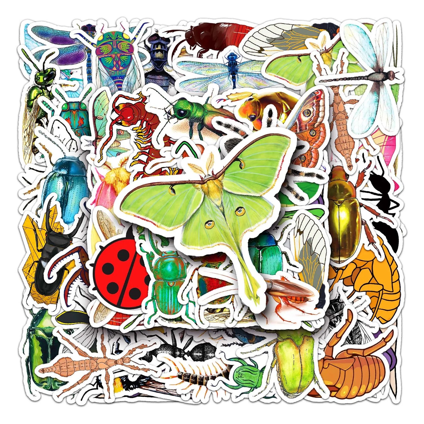 50Pcs Insect Cartoon Waterproof Vinyl Stickers for Skateboard Snowboard