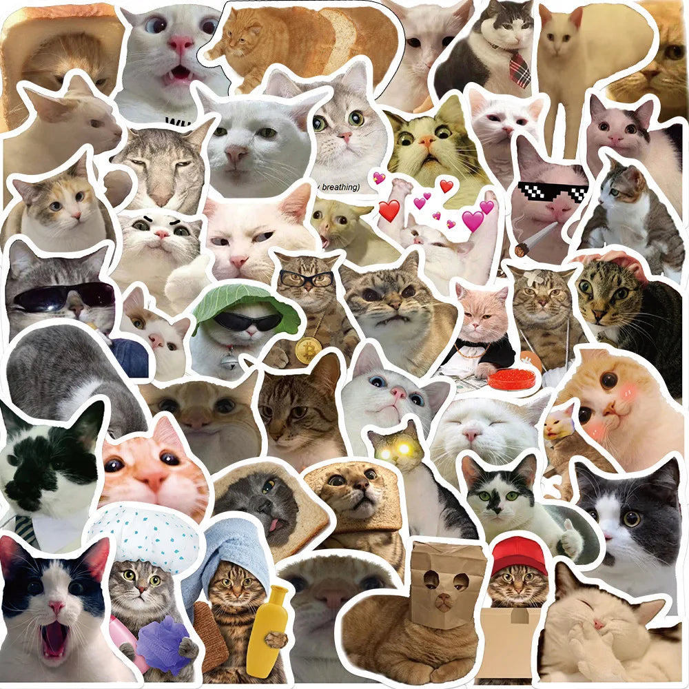 Funny Cat Meme Stickers 10/25/50pcs for Luggage, Water Bottle, Laptop, Phone