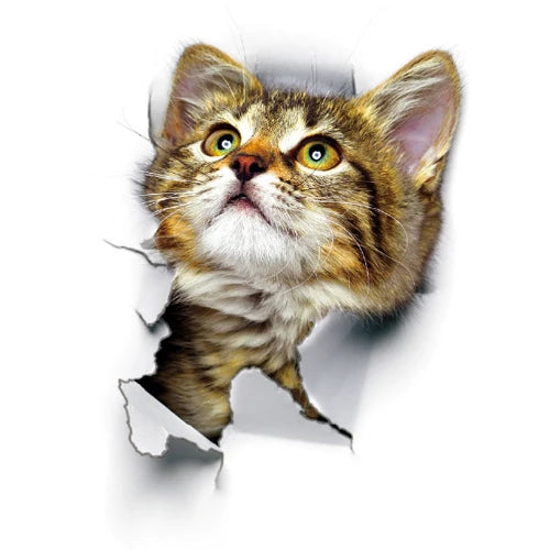 3D Cat Wall Sticker Vinyl Decal Home Decor Art Poster