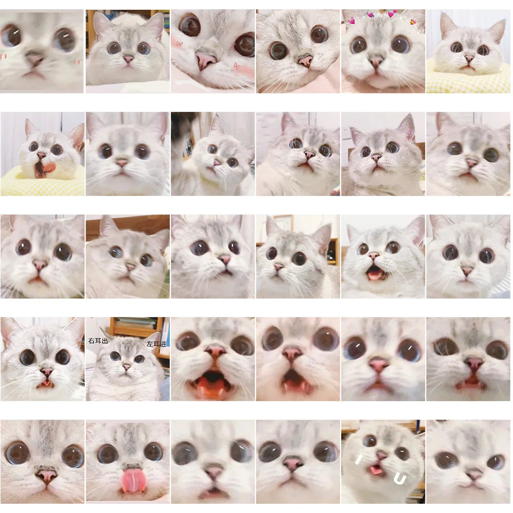 10/30/56PCS Cute Meme Cat Stickers Kawaii Animal Decals Funny Cartoon Kids Toy DIY Notebook Fridge Guitar Bike Car Suitcase Toys