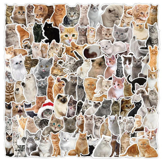 Cute Cat Meme Stickers Decals for Laptop, Phone, Car, Diary, Kids Toy - 10/30/50/100PCS
