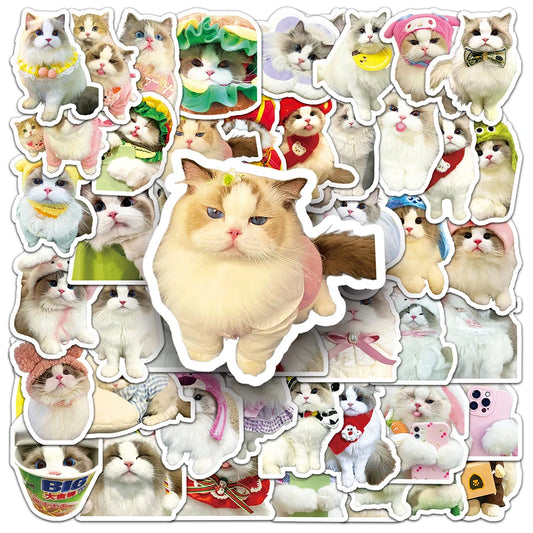Cartoon Cat Stickers Pack - Laptop, Suitcase, Stationery Decor