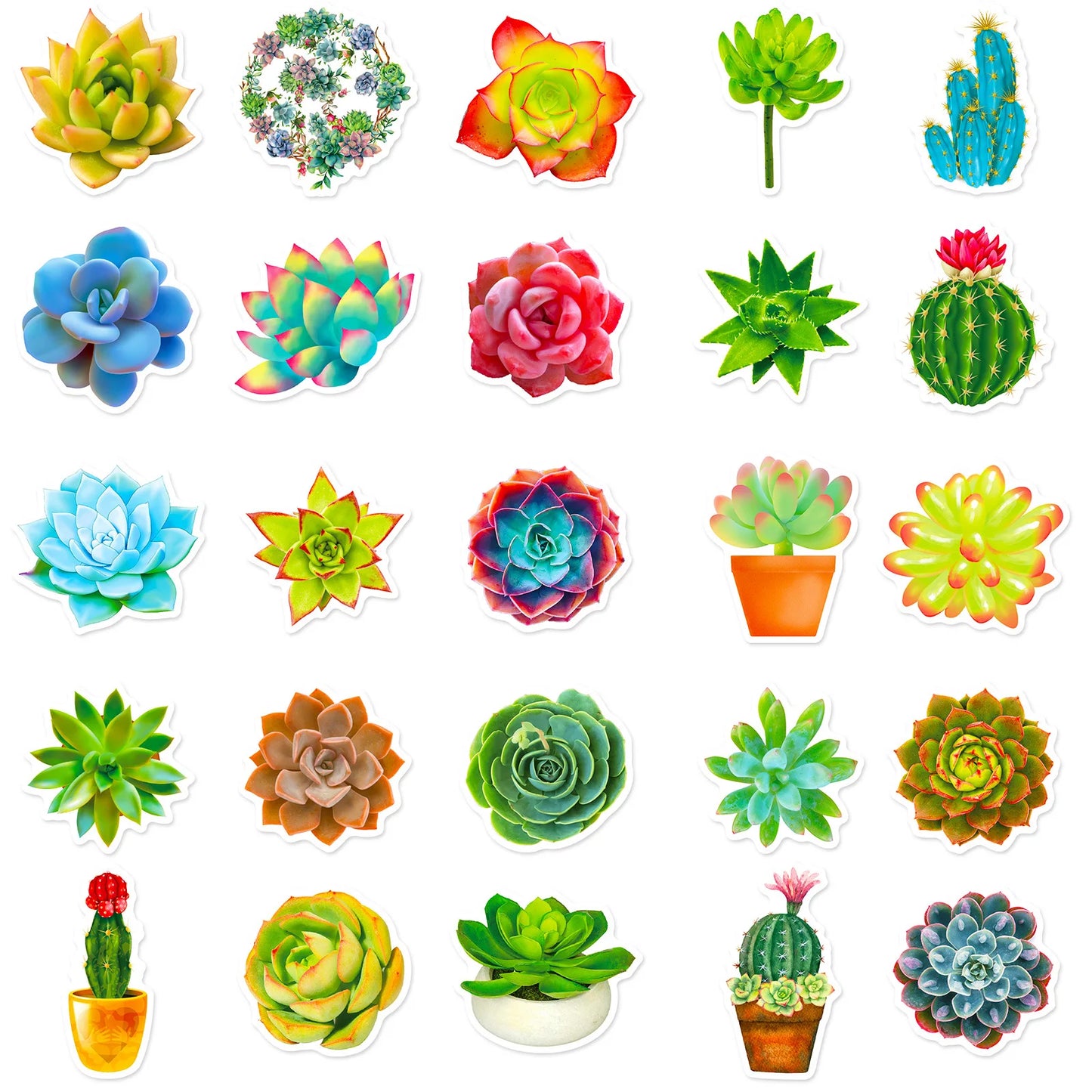 10/30/50PCS Cute succulent potted plant stickers DIY Graffiti Decal for Phone Luggage Laptop Scrapbook Waterproof Toy Gift Art