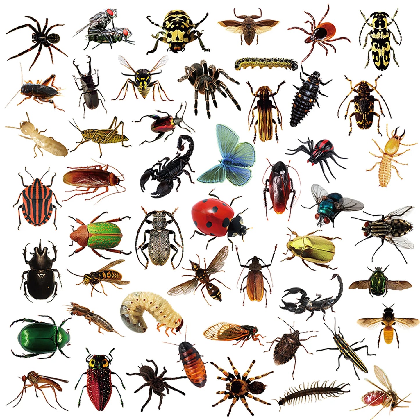 10/30/50PCS Mixed Insects Transparent Sticker Cartoon Graffiti DIY Scrapbook Stationery Laptop Guitar Bike Skateboard Decal Toy