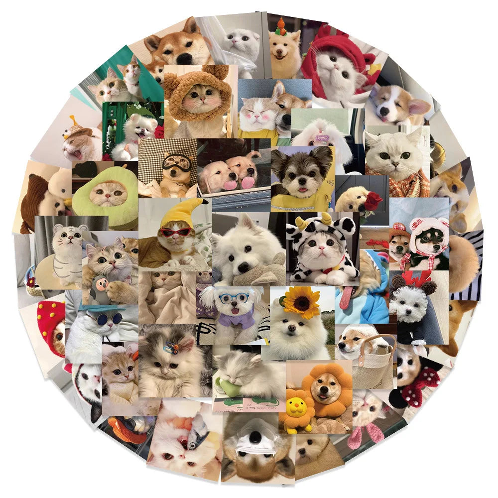 10/30/53PCS Cute Cats Dog Funny Stickers Cartoon Animals Graffiti Toys DIY Notebook Luggage Skateboard Guitar Kids Sticker Decal