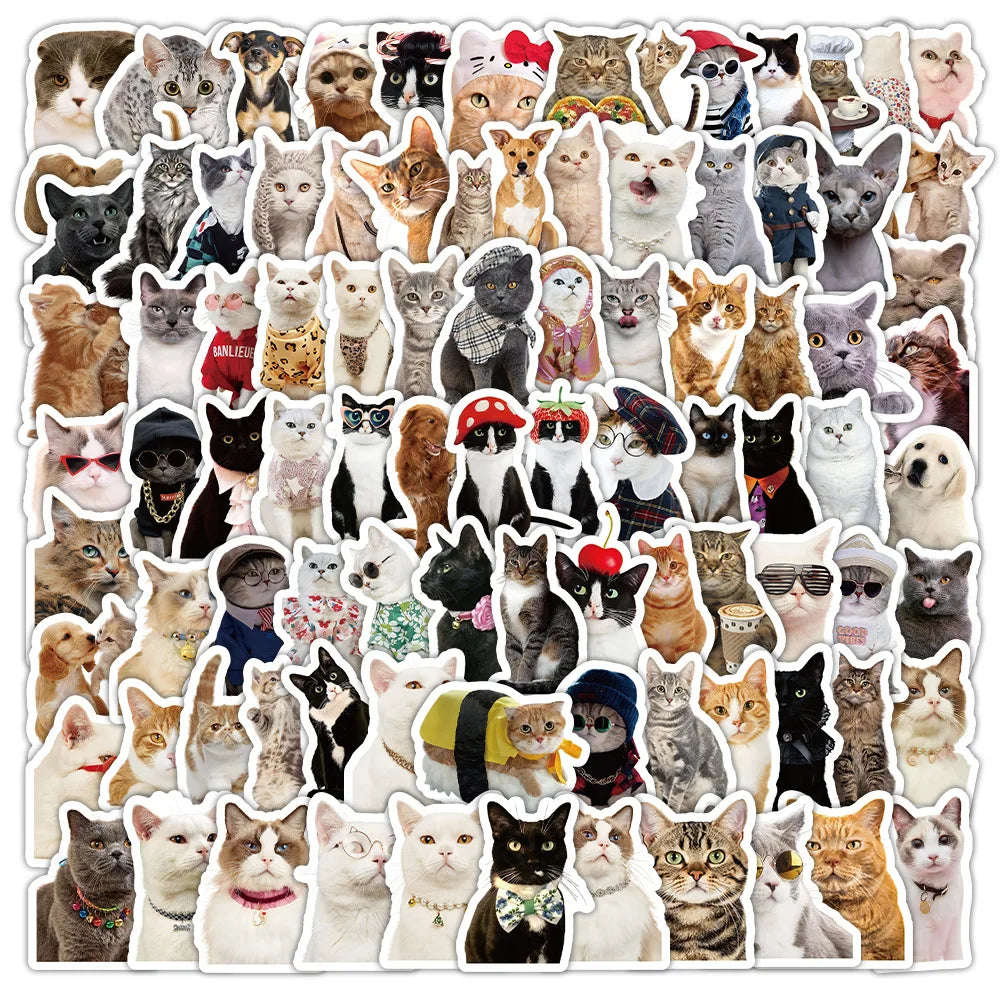 Realistic Cat Stickers Pack - Cute Animal Meme Decals, Waterproof for Laptop, Phone, Guitar, Bike