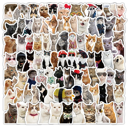 Realistic Cat Stickers Pack - Cute Animal Meme Decals, Waterproof for Laptop, Phone, Guitar, Bike