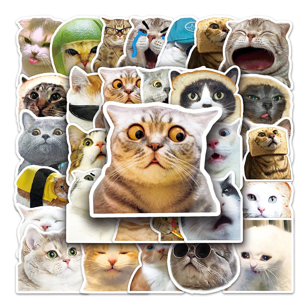 10/30/50PCS Funny Cute Cat Stickers Meme Kawaii Decals For Phone Notebook Laptop Phone Fridge Bike Graffiti DIY Waterproof Toys