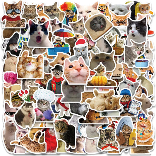 50/100pcs Funny Animals Cats Meme Stickers For Laptop Phone Guitar Luggage Bicycle Car  Waterproof Graffiti Vinyl Decals