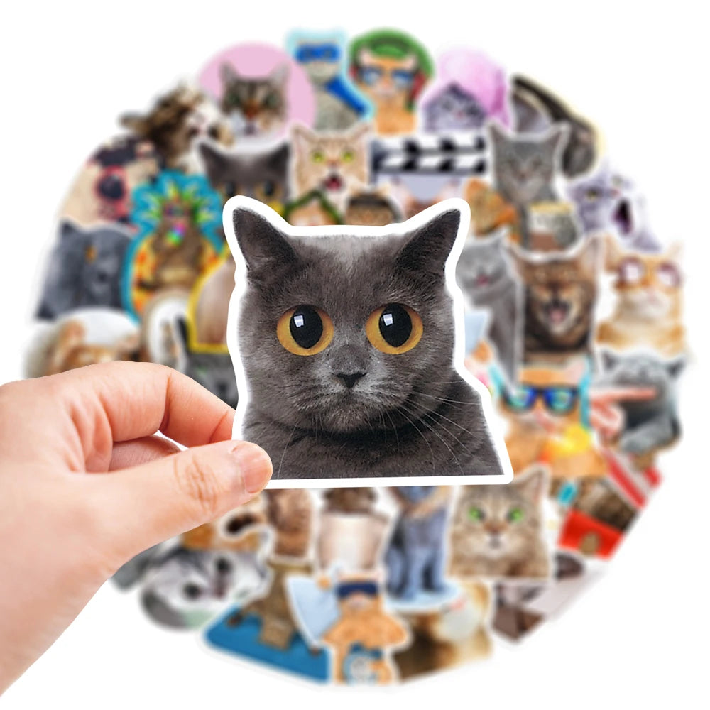 10/30/65PCS Kawaii Funny Cat Stickers Cute Cartoon Decals DIY Skateboard Phone Notebook Luggage Fridge Bike Car Sticker Kids Toy