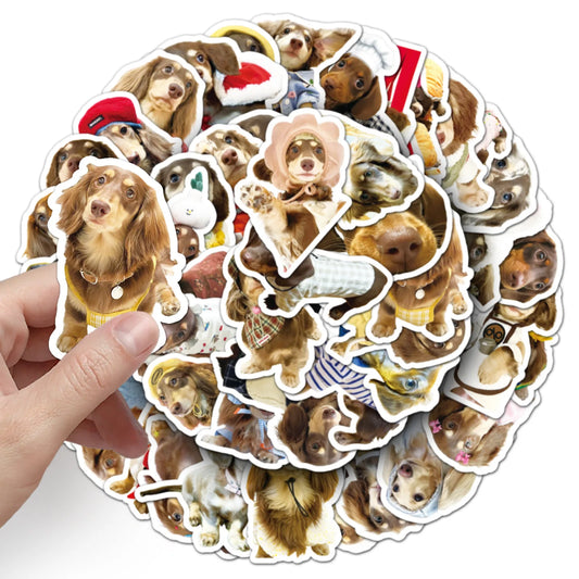 Dachshund Dog Stickers Pack: Laptop, Car, Phone Decals
