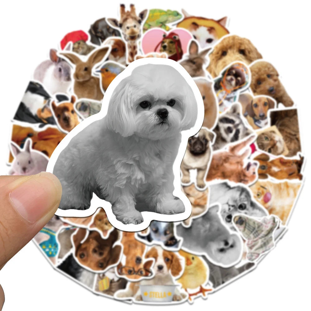 10/30/52pcs Cute Dog Cats Animal Graffiti Stickers Cartoon Decals Scrapbook Laptop Phone Luggage Car Funny Meme Sticker Kids Toy