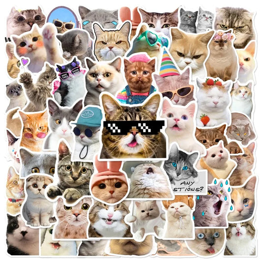 Cat Stickers Pack for Phone Laptop Guitar Helmet Luggage Car DIY