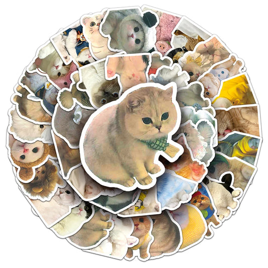 Kawaii Cat Meme Stickers Pack - Cute Aesthetic Decals for Laptop, Notebook, Diary