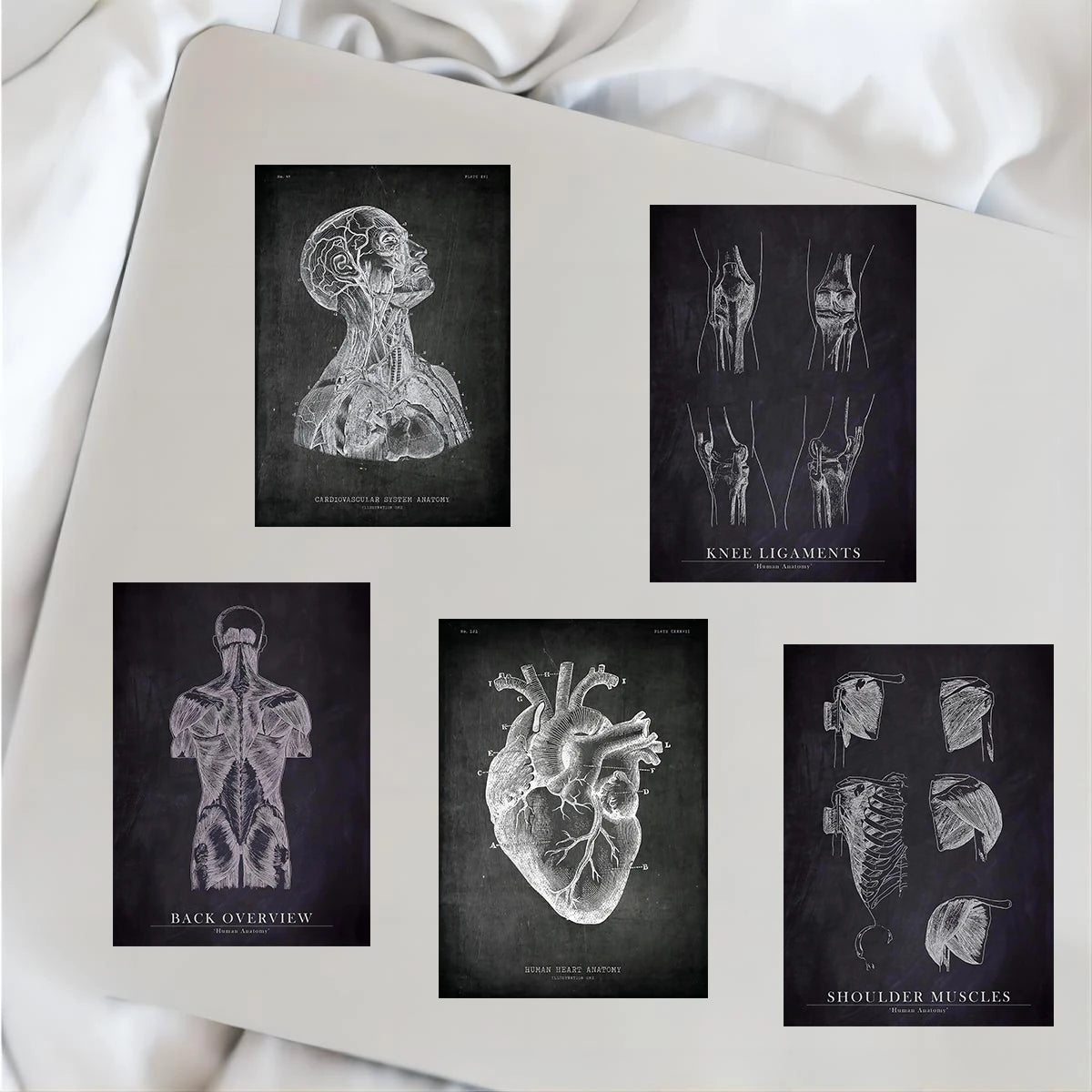 25pcs Anatomical Skeleton Chalkboard Stickers For Laptop PVC Water Bottle waterproof Decal Toy Medicine Student Gifts