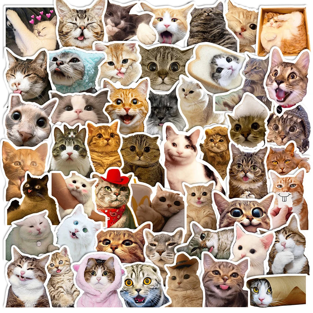 10/30/50/100pcs Cute Funny Meme Animal Cat Kitty Stickers Decals Laptop Notebook Luggage Car Decoration Sticker Kids Classic Toy