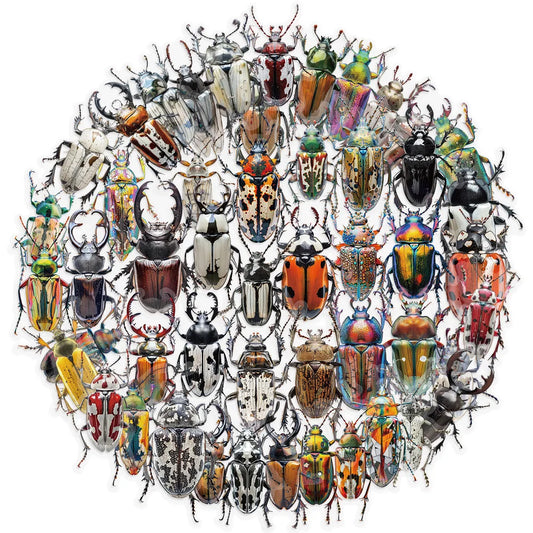 50Pcs Cartoon Insect Beetle Stickers for DIY & Decor