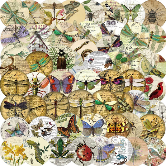 58PCS Insect Specimen Sticker Cartoon Vintage DIY Phone Laptop Luggage Skateboard Graffiti Decals Fun for Kid Stickers Toy