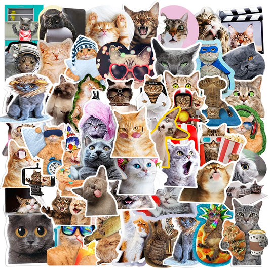Cute Cat Meme Stickers - Funny Animal Cartoon Decals for Laptop, Guitar, Phone, Suitcase, Notebook